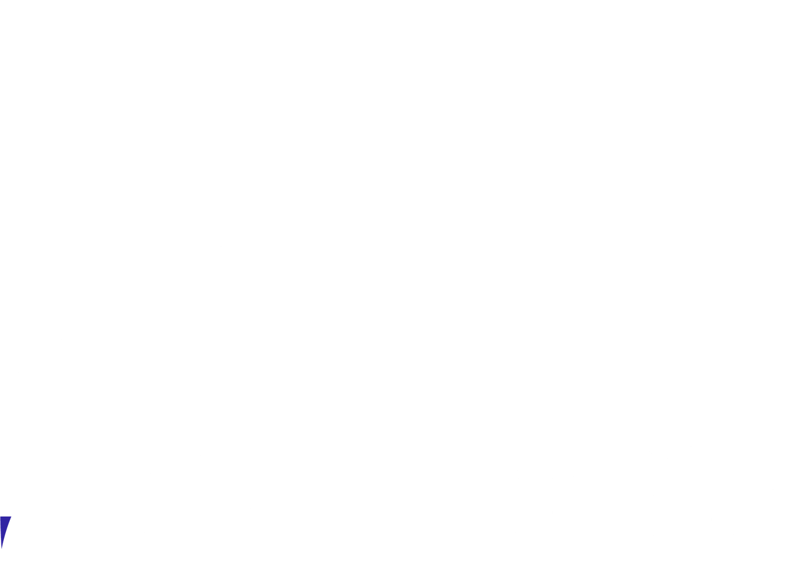 Toolish Logo